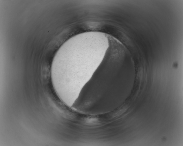 X0000115180651200911251358