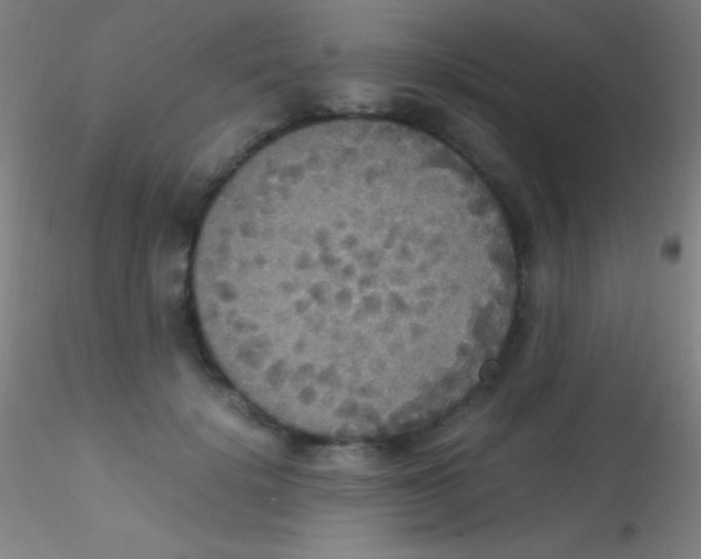 X0000115180652200911251358