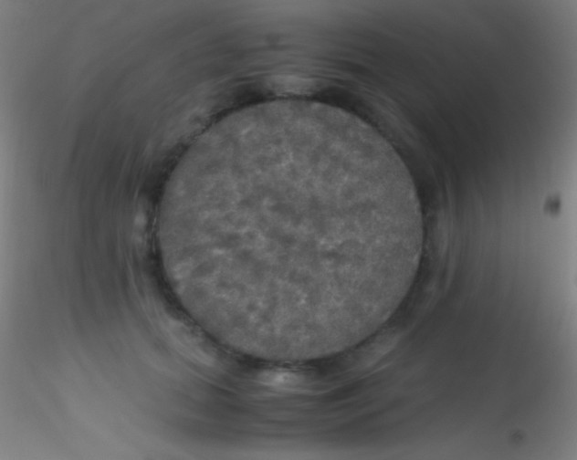 X0000115180655200911251358