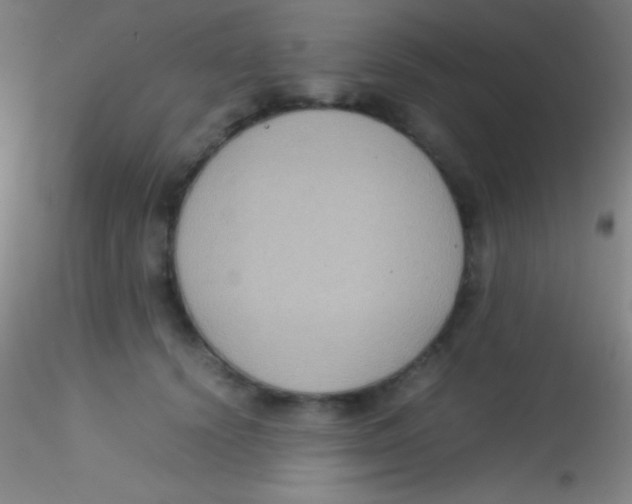 X0000115180656200911251358