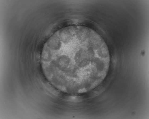 X0000115180657200911251358