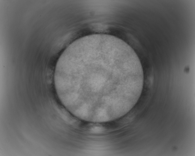 X0000115180658200911251358
