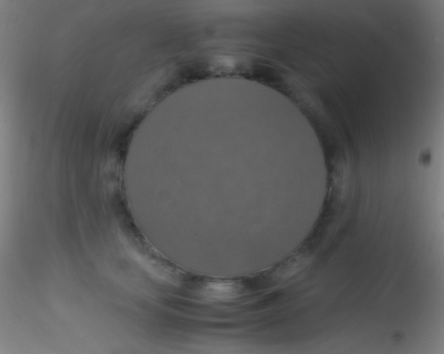 X0000115180659200911251358