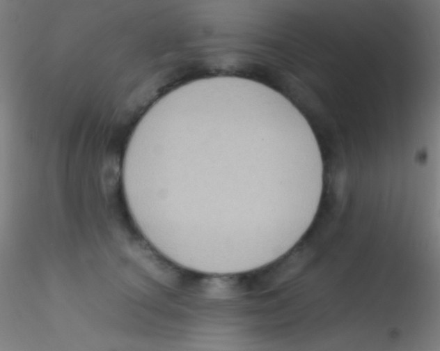 X0000115180660200911251358