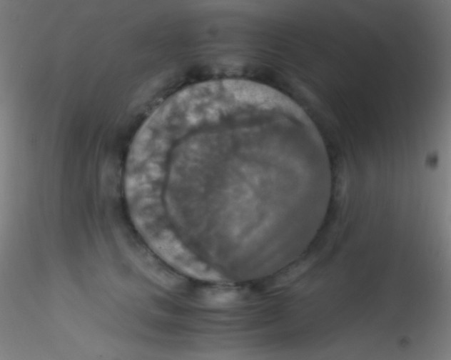 X0000115180661200911251358