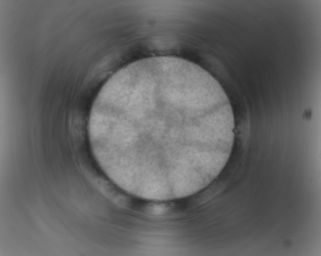 X0000115180662200911251358