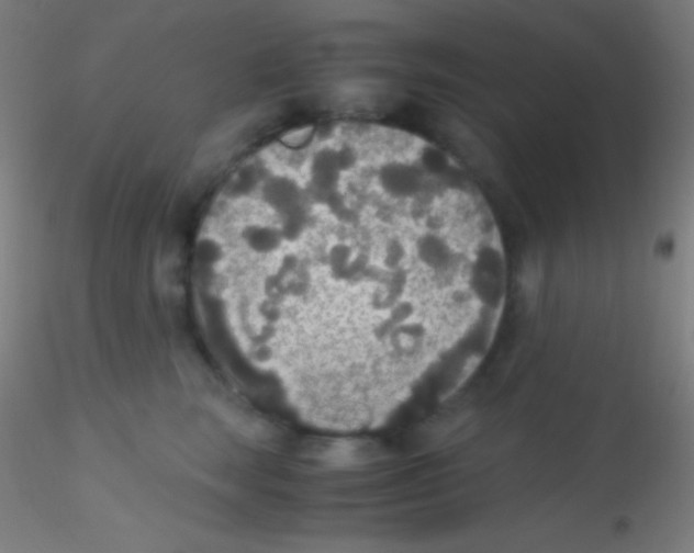 X0000115180663200911251358