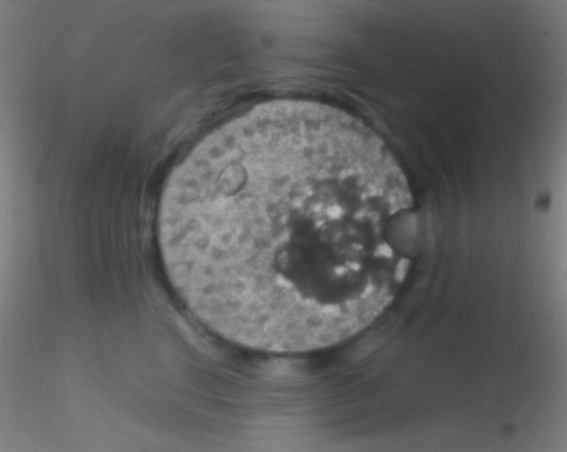 X0000115180664200911251358