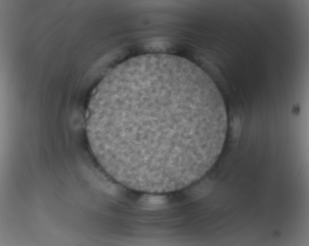 X0000115180665200911251358