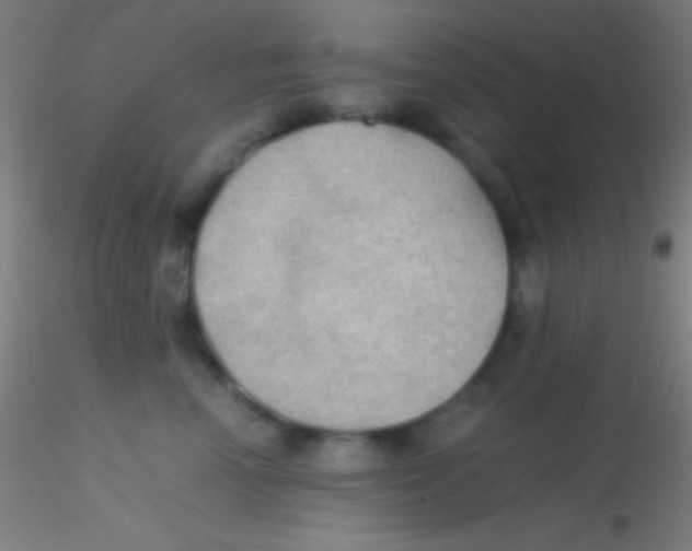 X0000115180666200911251358