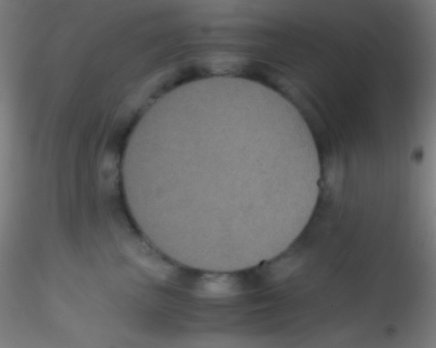 X0000115180667200911251358