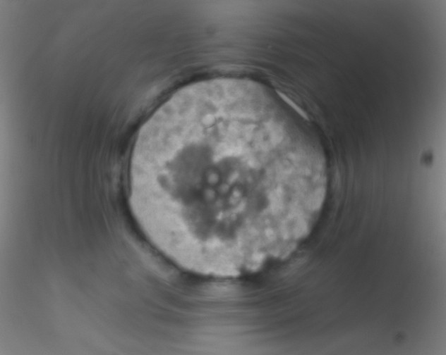 X0000115180668200911251358
