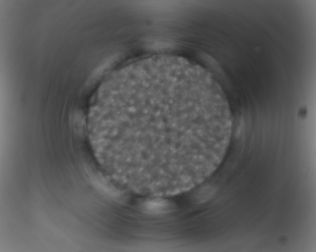 X0000115180669200911251358