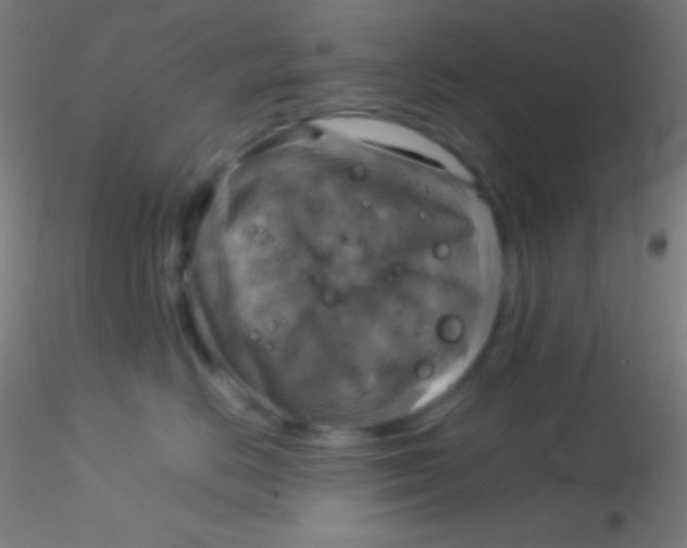 X0000115180670200911251358