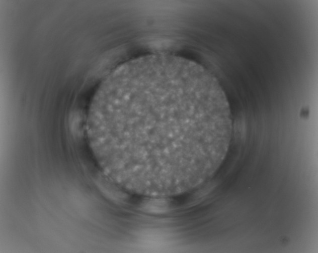 X0000115180671200911251358