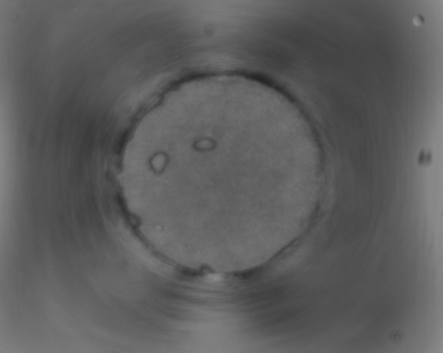 X0000115180672200911251358