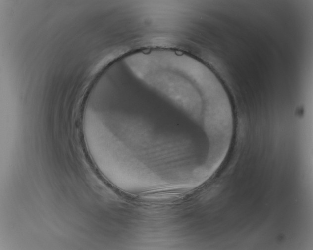 X0000115180673200911251357