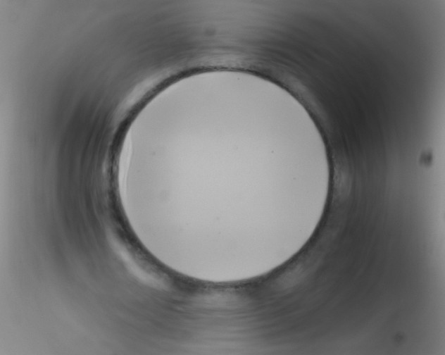X0000115180674200911251357