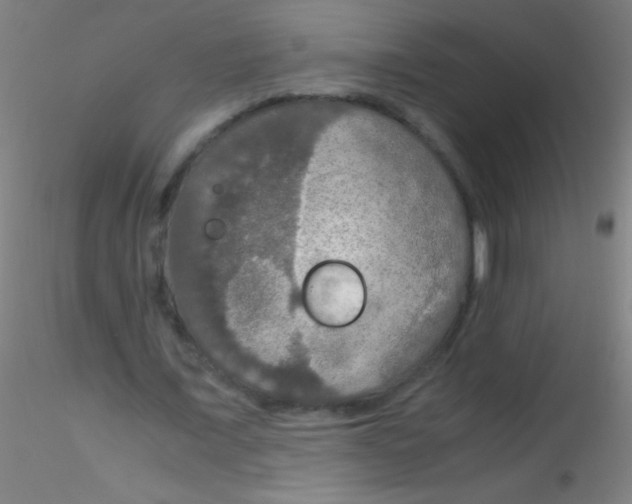 X0000115180675200911251357
