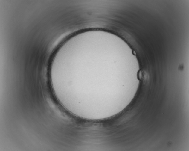 X0000115180676200911251357