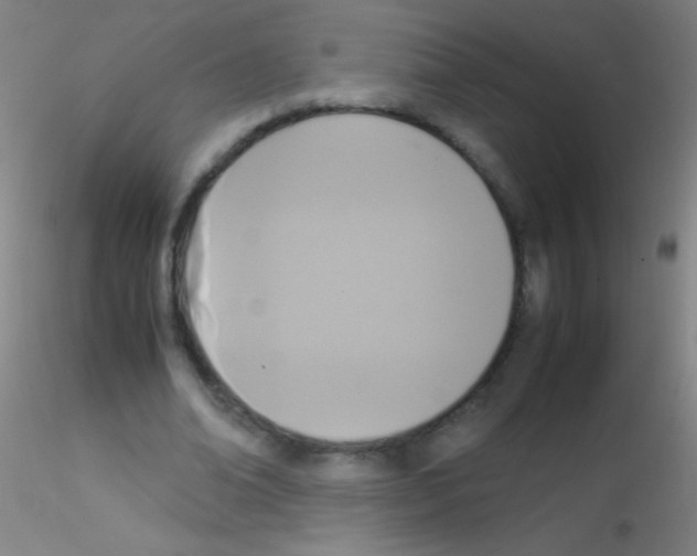X0000115180678200911251357