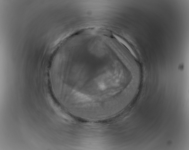 X0000115180681200911251357