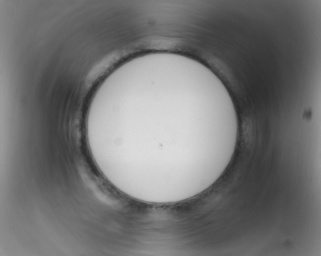 X0000115180682200911251357