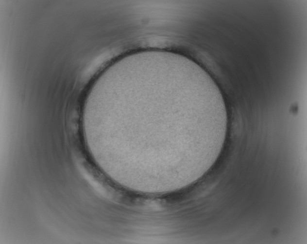 X0000115180683200911251357
