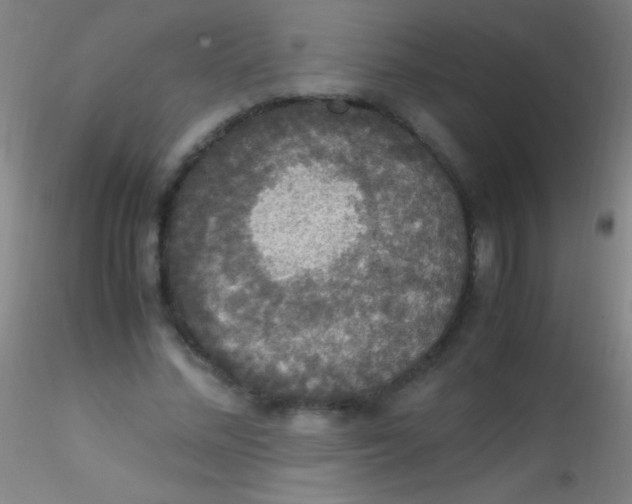 X0000115180684200911251357