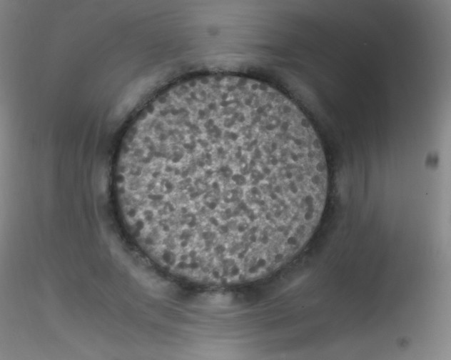 X0000115180687200911251357