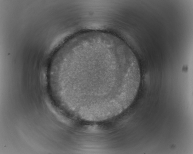 X0000115180688200911251357