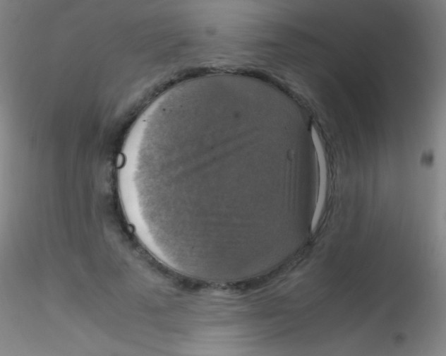 X0000115180689200911251357