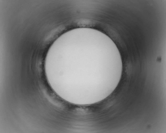 X0000115180690200911251357