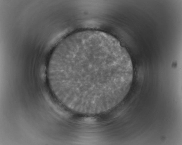 X0000115180692200911251357