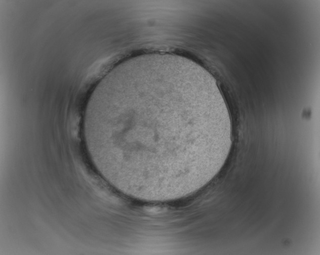 X0000115180693200911251357