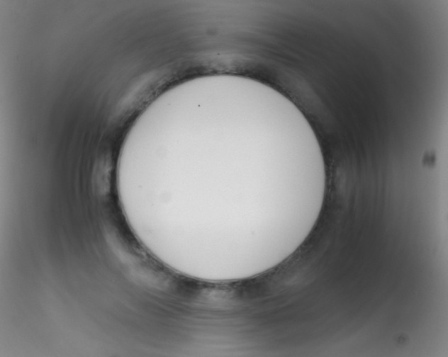 X0000115180694200911251357