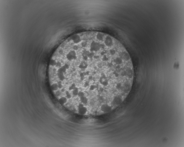 X0000115180695200911251357