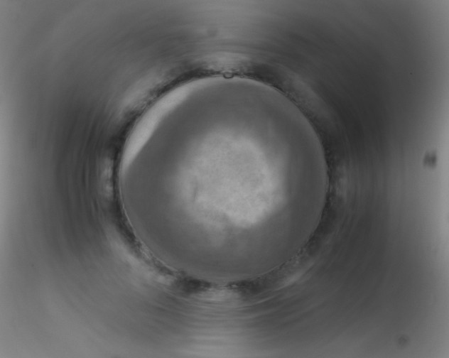 X0000115180696200911251357