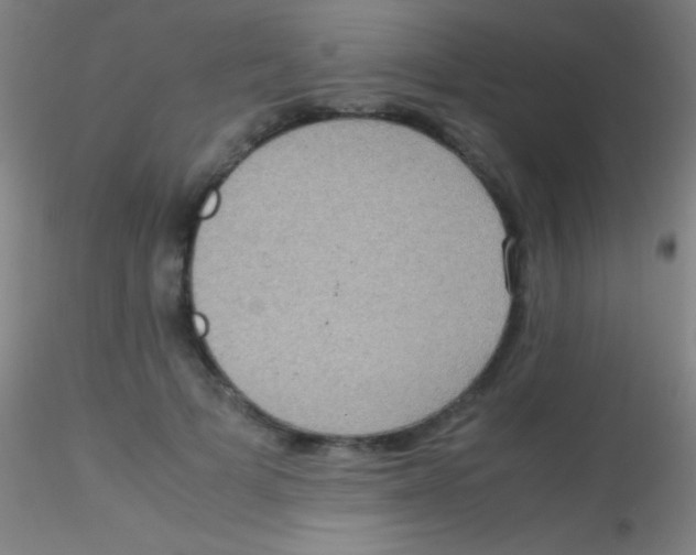 X0000115180697200911251357