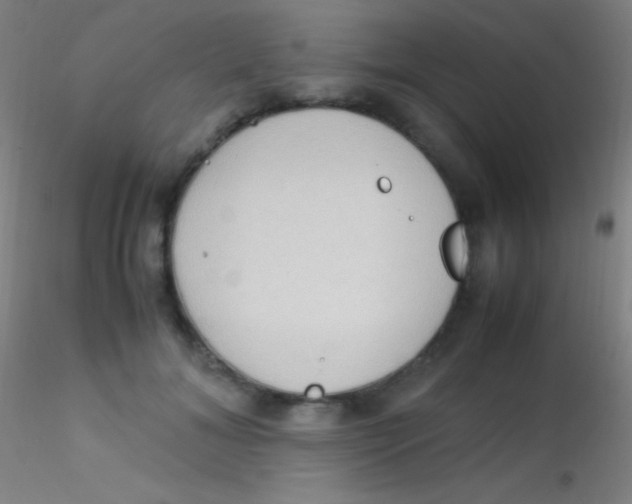 X0000115180700200911251357
