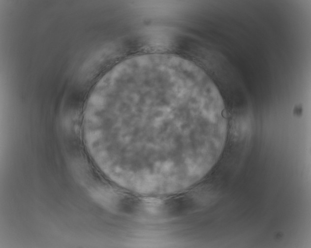 X0000115180701200911251357