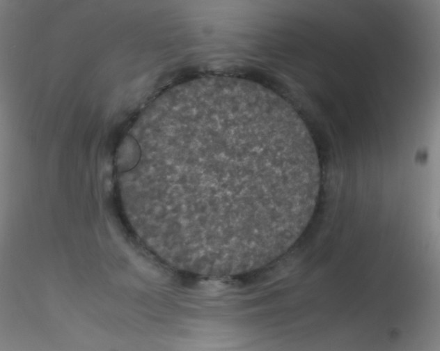 X0000115180703200911251357