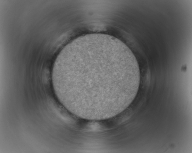 X0000115180704200911251357
