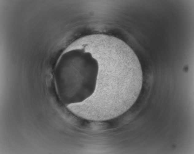 X0000115180707200911251357