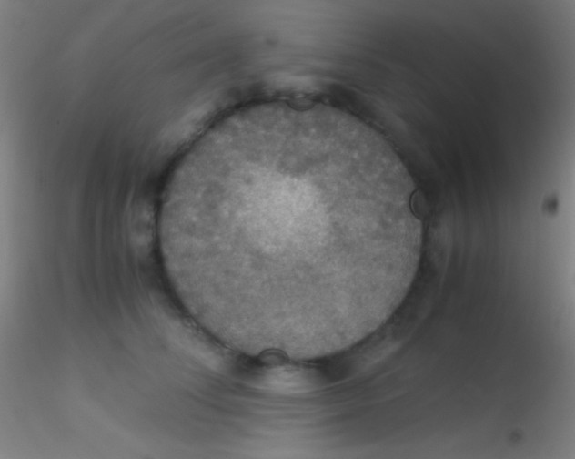 X0000115180708200911251357