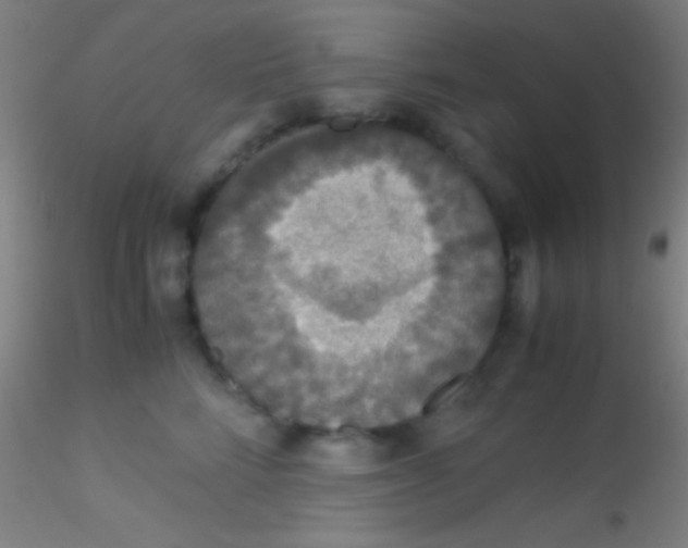X0000115180712200911251357