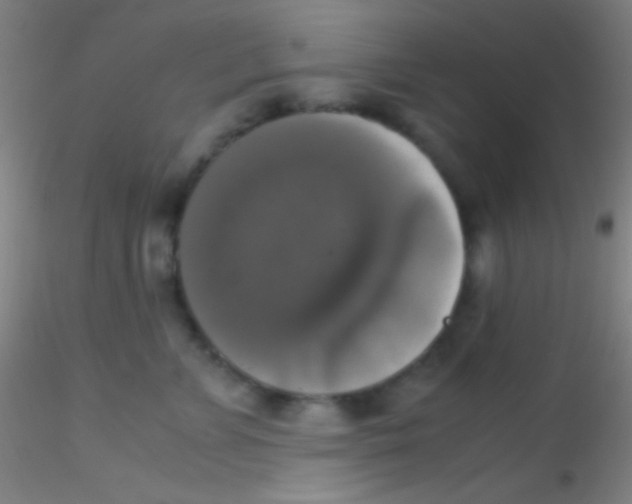 X0000115180715200911251357