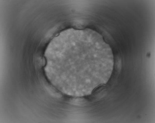 X0000115180716200911251357
