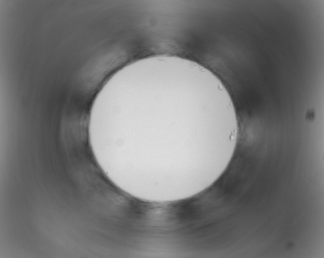 X0000115180717200911251357