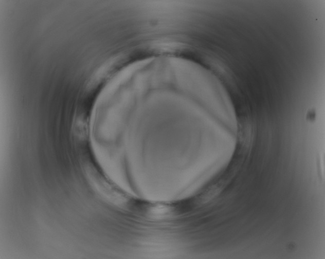 X0000115180718200911251357